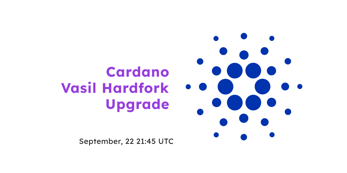 A great day for the @Cardano community! #VasilHardFork is going live today🙌 The main network upgrade will enrich #Cardano smart contract capabilities, increase the chain’s throughput & reduce costs. Our #ADA nodes are fully prepared for the upgrade⬇️ nownodes.io/nodes/cardano-…