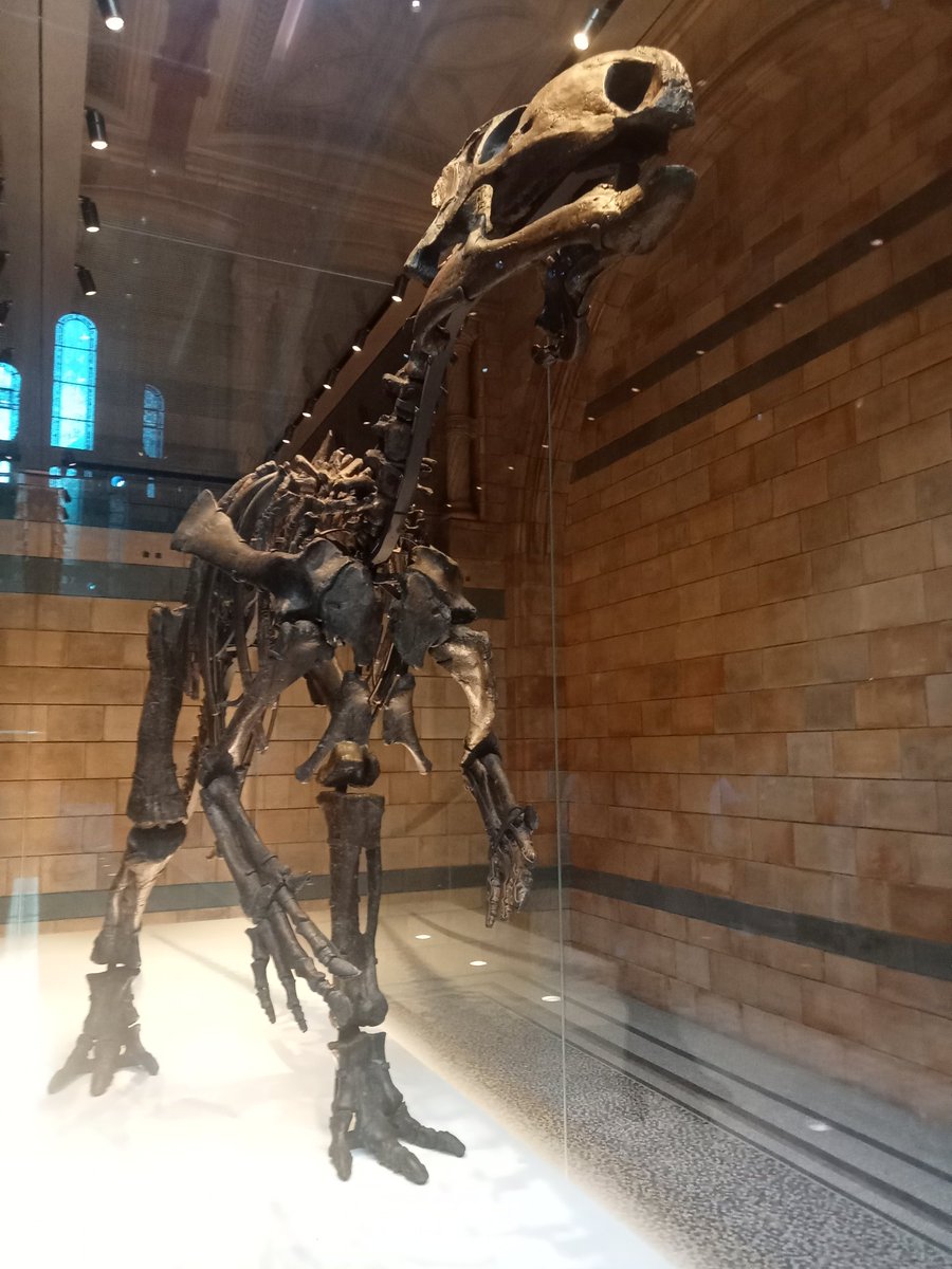 You Enjoy Myself tweet media