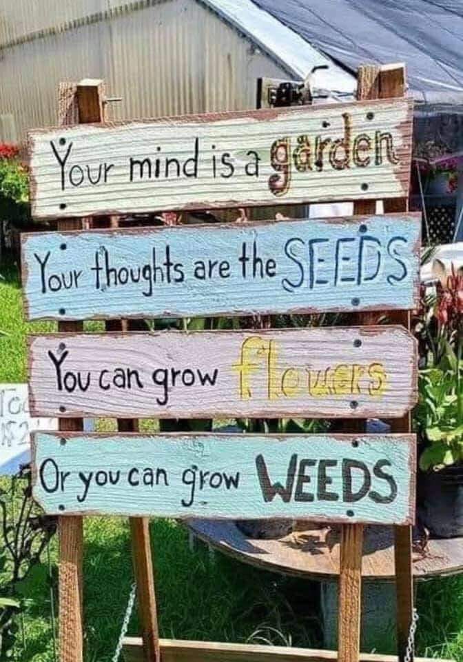 teachergoals's tweet photo. Powerful reminder! 🙌
📷 Unknown https://t.co/SchZQKbL6M