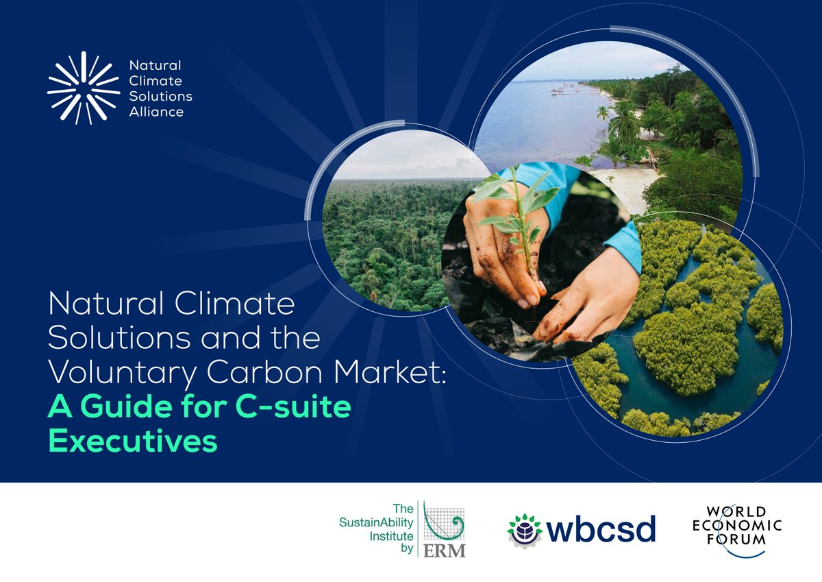 GlobalERM's tweet image. What are the opportunities associated with Natural Climate Solutions-or NCS? Download the new Guide for C-Suite Executives to gain a comprehensive overview of NCS, the role of biodiversity and people and opportunities for business: bit.ly/3qWlctw 
@wbcsd #naturalclimate