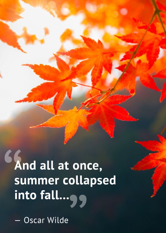 Mrs_C_Tully's tweet photo. Today is one of my favourite days of the year: the #AutumnalEquinox. Days are getting shorter, the weather is getting cooler, and nature is reminding us that it is ok to start settling in and cozying up with a great book and fluffy socks #BeautyAndBalance #Fall #PumpkinEverything https://t.co/5G1Ymf3rY2