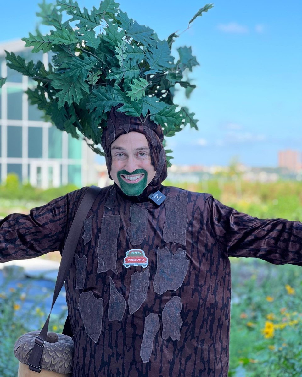 The NYC Tree tweet media