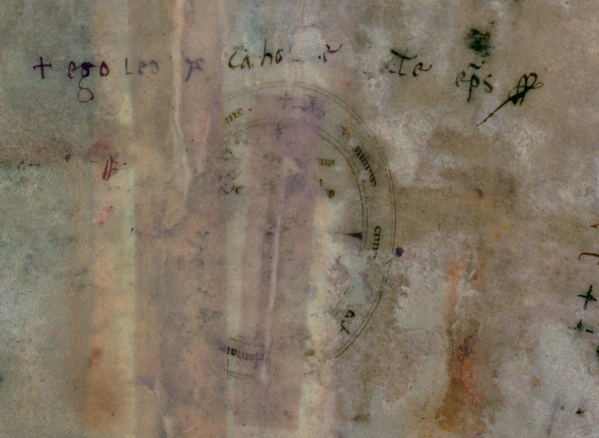 This papal bull (Cotton MS Vitellius B IV/I) is one of the most important documents in British history. Given by Pope Leo X in 1521, it conferred on Henry VIII the title Defender of the Faith, a title used to this day by Queen Elizabeth II and now HM King Charles III.