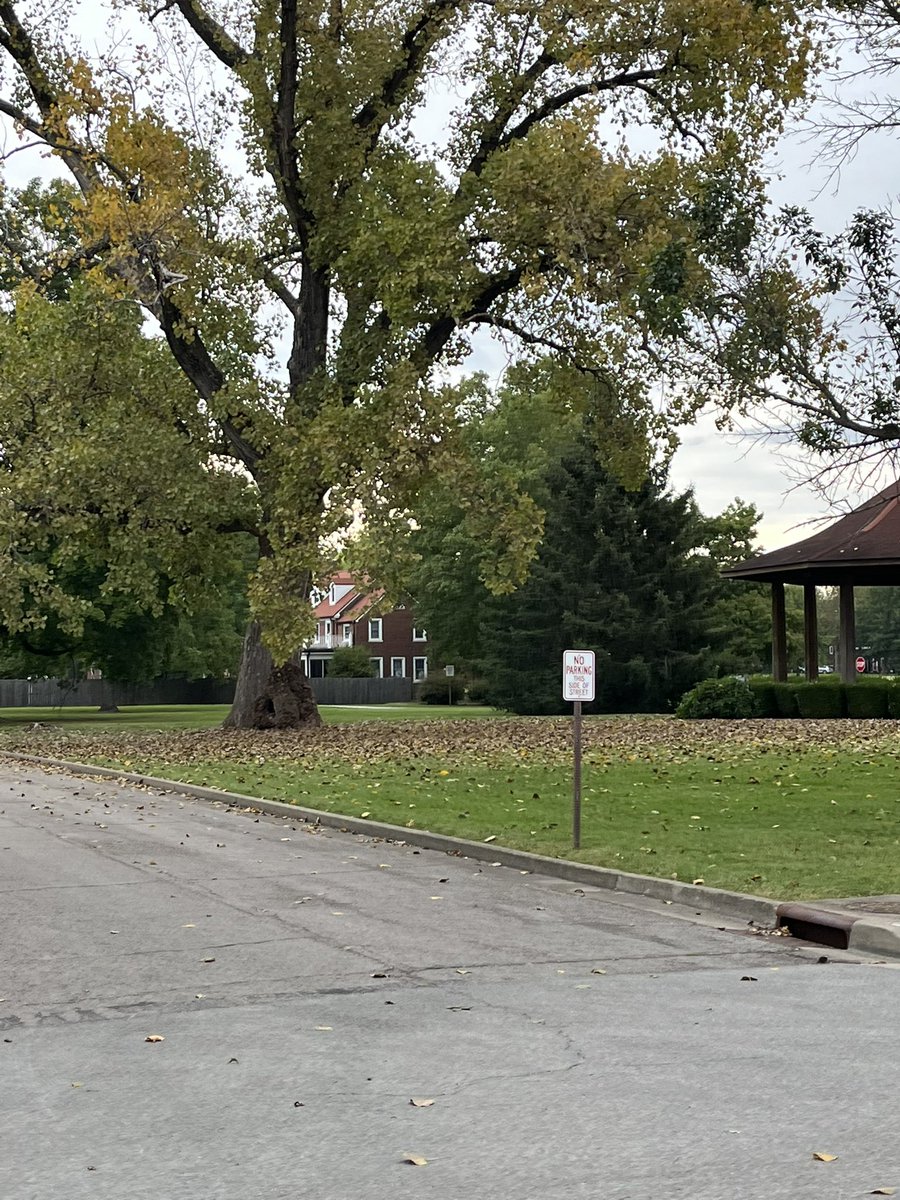 daubert_j's tweet photo. This oak tree got the message it’s fall.  Now just need the weather to catch up. Let’s go cool weather!!! https://t.co/8uwXINNQPK