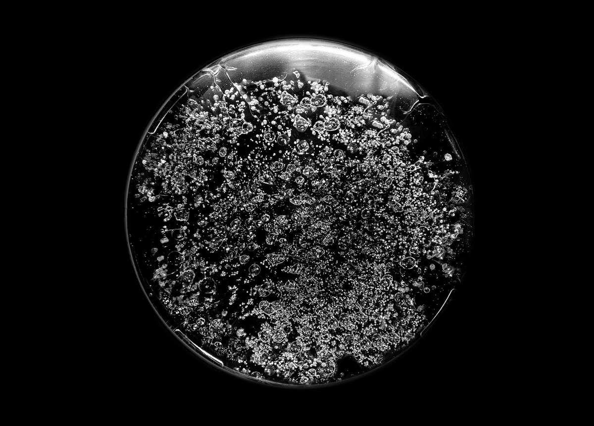 CiteEspace's tweet photo. [EXPOSITION] Suite à la résidence d'artiste @residence1plus2, l'artiste @SandrineElberg présente "Effet spatial"
↪Une vision poétique de l’espace et de ses phénomènes célestes!

🪐Du 1/10 au 01/01/23
🪐Compris dans le billet d'entrée
🔽Plus d'infos🔽
https://t.co/L8drCs3GUG https://t.co/Sh6mSj8bV4