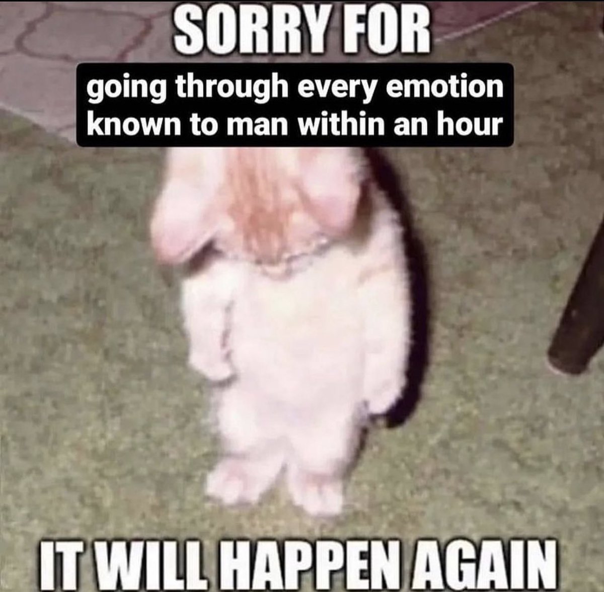 The Notorious J.O.V. (@whotfisjovana) on Twitter photo 