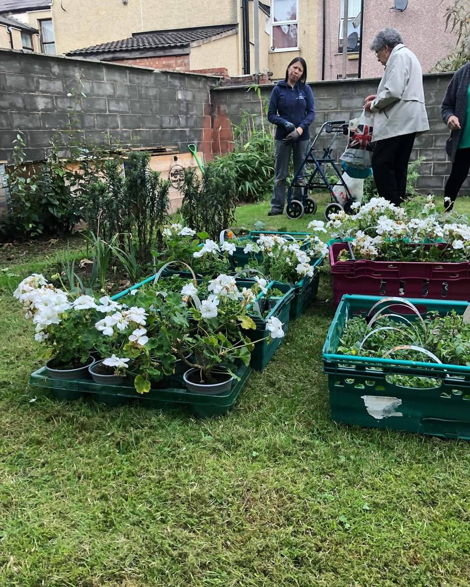 Loved catching up with our poet's streets #GrowingCircle members. Loved seeing these neighbours looking after each other as well as sharing plants + growing stories. Evidence that #growing together builds stronger #community relationships. #urbangrowing #communitygrowing @TNLUK