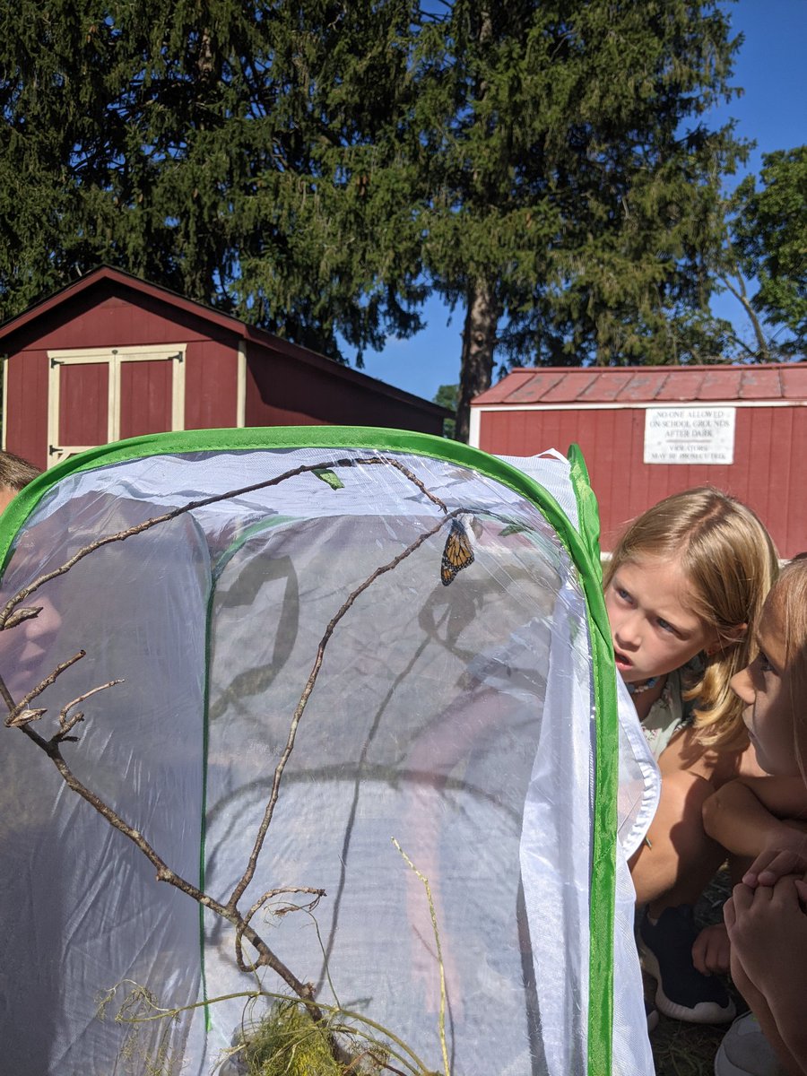 FSDGarden tweet media