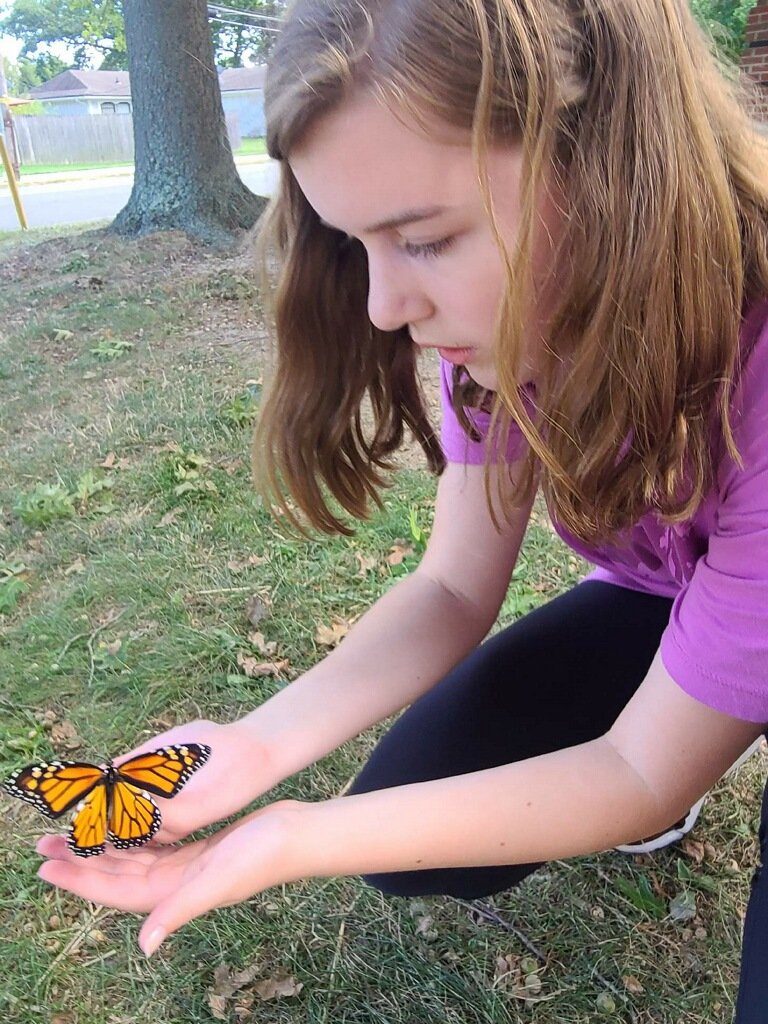 FSDGarden tweet media