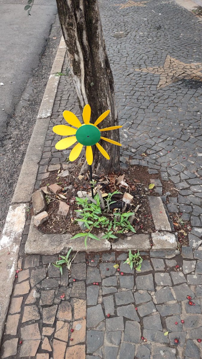 salvarvores's tweet photo. sebo vitoria regia: CATA-VENTO R$ 15,00 Whats: 19 9 8407-3337 https://t.co/l8dB9u0q7A 
Marcadores: cata-vento, cata-ventos https://t.co/tuoqIv7O65