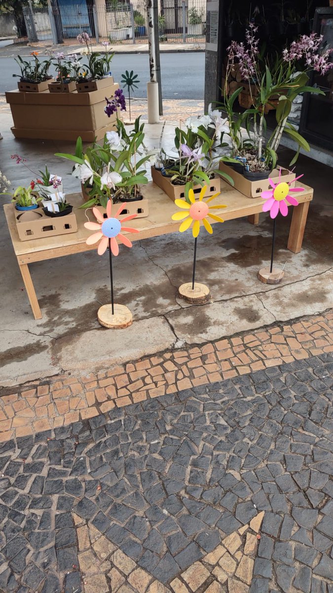 salvarvores's tweet photo. sebo vitoria regia: CATA-VENTO R$ 15,00 Whats: 19 9 8407-3337 https://t.co/l8dB9u0q7A 
Marcadores: cata-vento, cata-ventos https://t.co/tuoqIv7O65