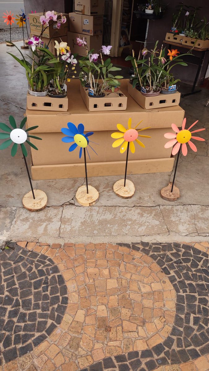 salvarvores's tweet photo. sebo vitoria regia: CATA-VENTO R$ 15,00 Whats: 19 9 8407-3337 https://t.co/l8dB9u0q7A 
Marcadores: cata-vento, cata-ventos https://t.co/tuoqIv7O65