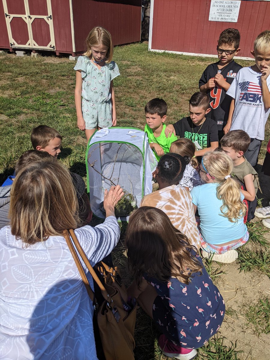 Yesterday we released 3 monarchs! 8th, 2nd and 4th all had females hatch. So exciting! <a href="/FSDVikings/">Farmingdale School</a> <a href="/FSD_Ms_Carroll/">Ms. Carroll</a> <a href="/FSDProchnow/">Mrs. Prochnow</a> <a href="/mskellywelsh/">Ms. Kelly Welsh</a>