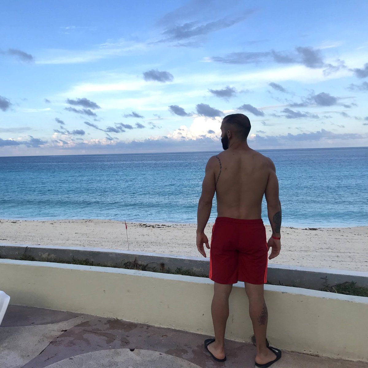 David.SZ20 tweet media