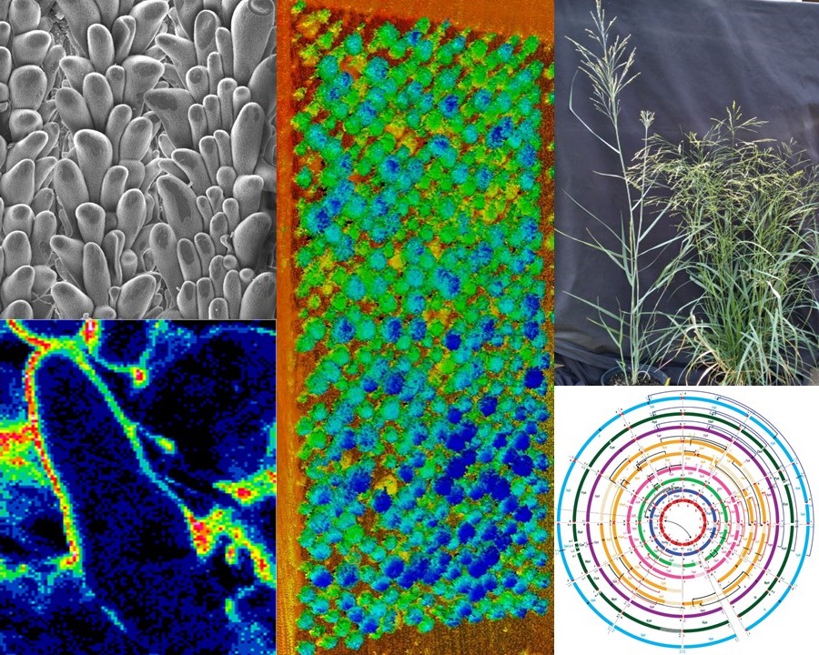 Tom Pendergast tweet media