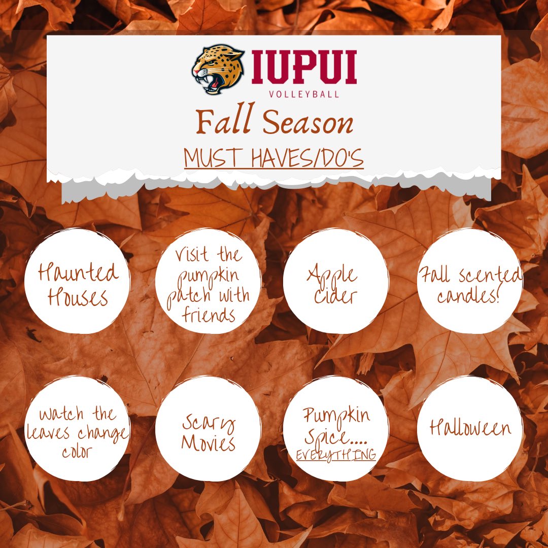 IUPUI Volleyball tweet media