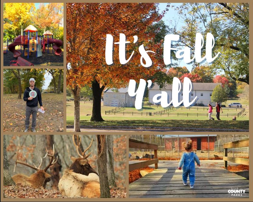 Happy first day of Fall! 🍁🍂🎃 Be sure to check out our online catalog for all of St. Louis County Parks' fall festivities and programs. mo-stlouiscounty.civicrec.com/MO/st-louis-co…