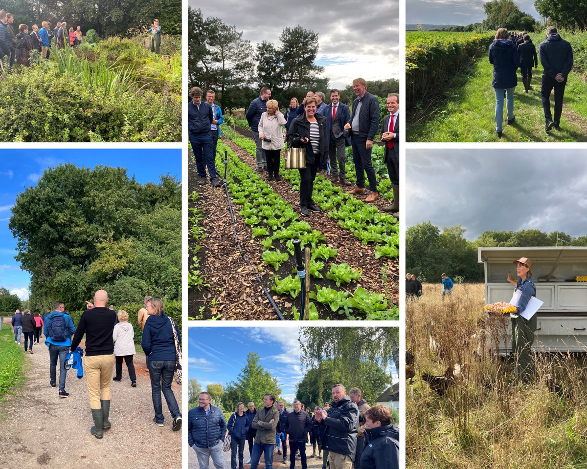 Een inspirerende Regiosafari! Bestuurders uit de Groene Metropoolregio gingen 'on tour' door de gemeente Berg en Dal en de Gemeente Heumen. In beide gemeenten zijn al flinke stappen gezet om de traditionele landbouw om te vormen 👇
bit.ly/3Srx5TY