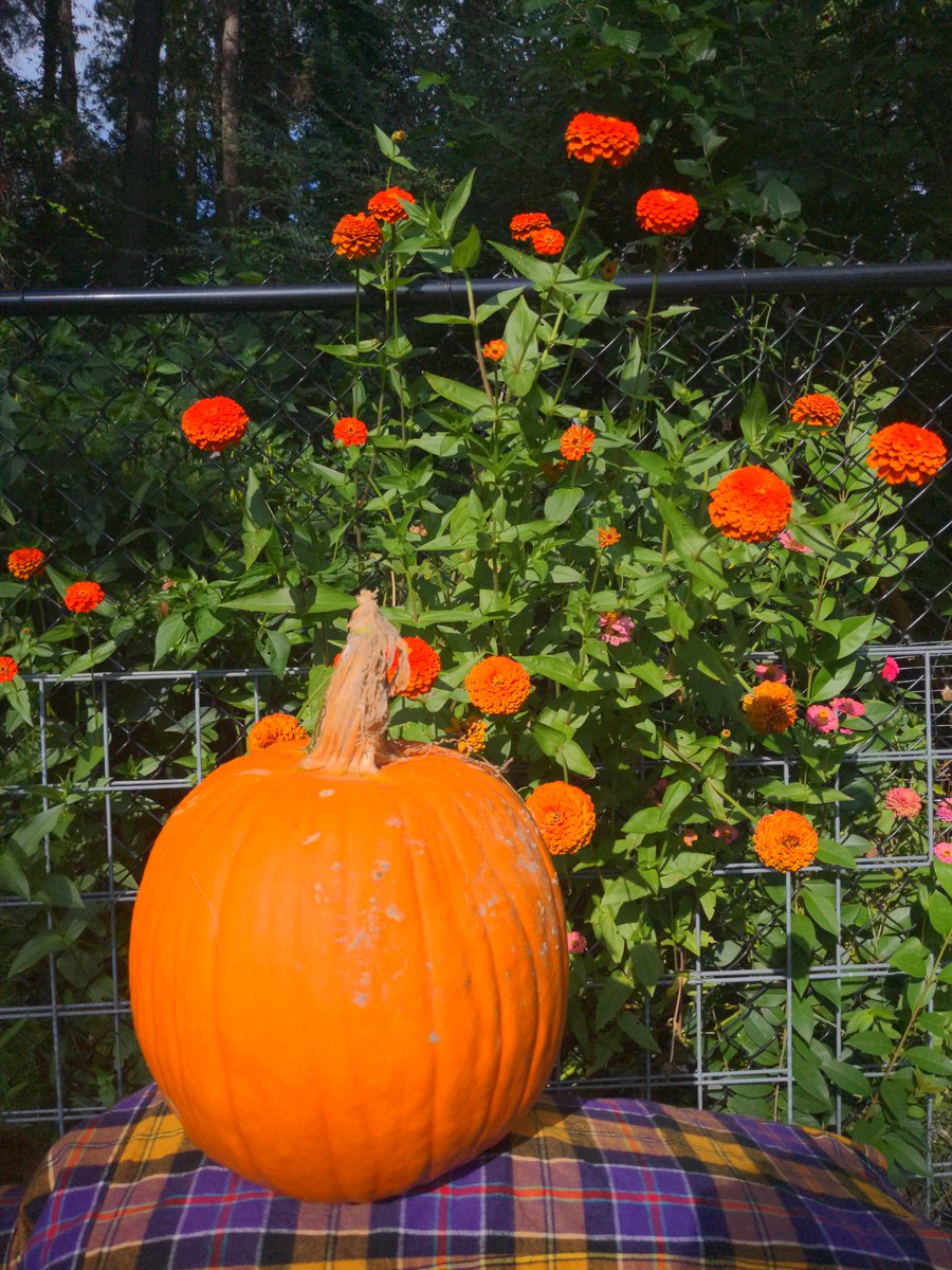 Magic Key FM tweet media