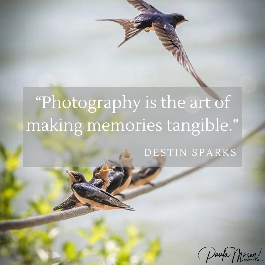 We’ve all experienced a moment where we wish we could capture it and keep it forever just as it is. The way we can keep those memories alive is through photography. 

#paulamasonphotographry #allentexasphotographer #texasphotographers #texasphotoshoot #frontporchphotography