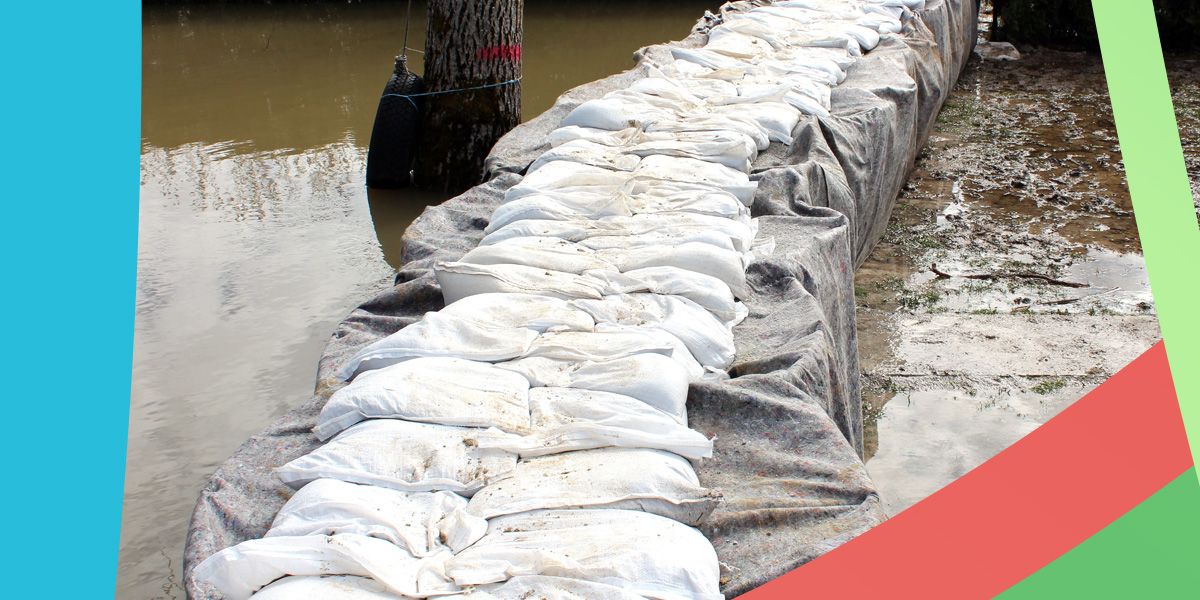 indexOLDACCOUNT's tweet image. #Geotextiles are used to reinforce landmarks worldwide. Find more about nonwovens applications at INDEX™23 from April 18-21 next year at Palexpo, in Geneva.

➡️ Learn more: indexnonwovens.com/en/news/essent…  

#INDEXnonwovens #INDEX23 #Palexpo