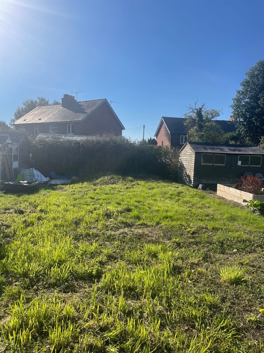 franwharrey's tweet image. just got my first allotment plot!! 
putting all my stardew valley/harvest moon knowledge to the test xx