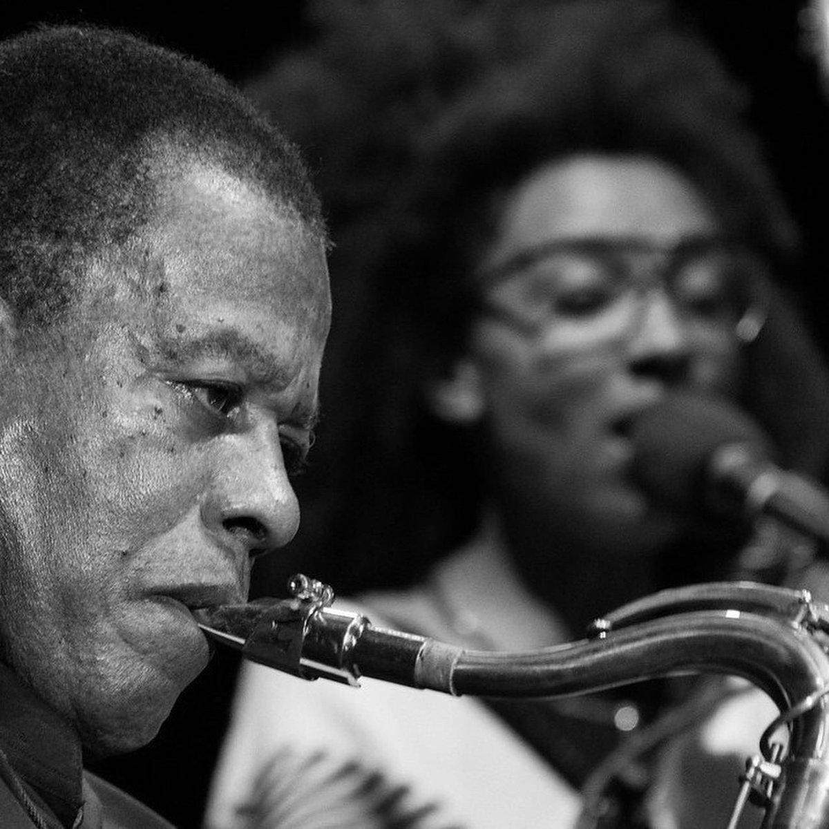 jazzedofficial tweet media