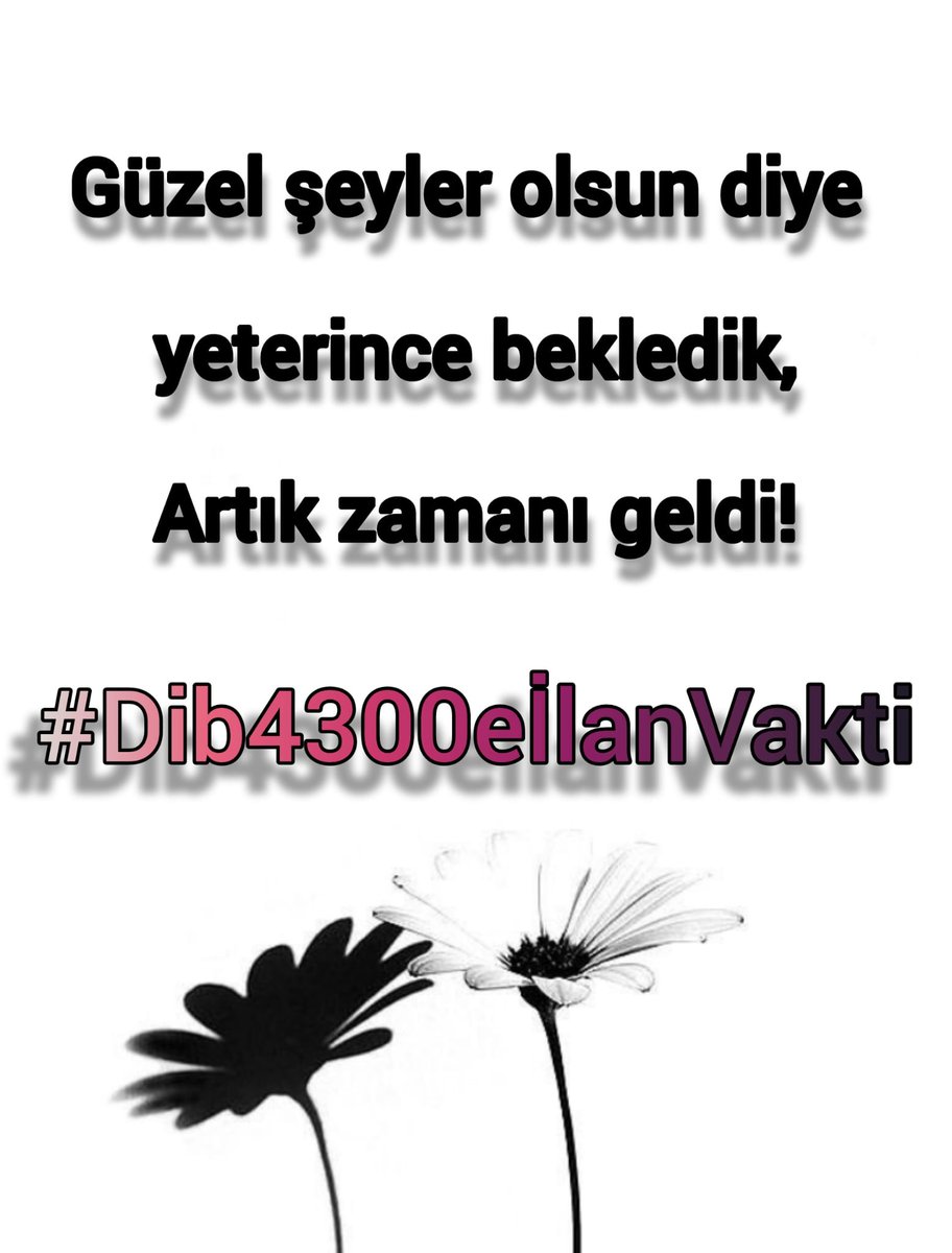 zuhal_dan's tweet photo. @DiyanetTV https://t.co/uGZXBV7s72