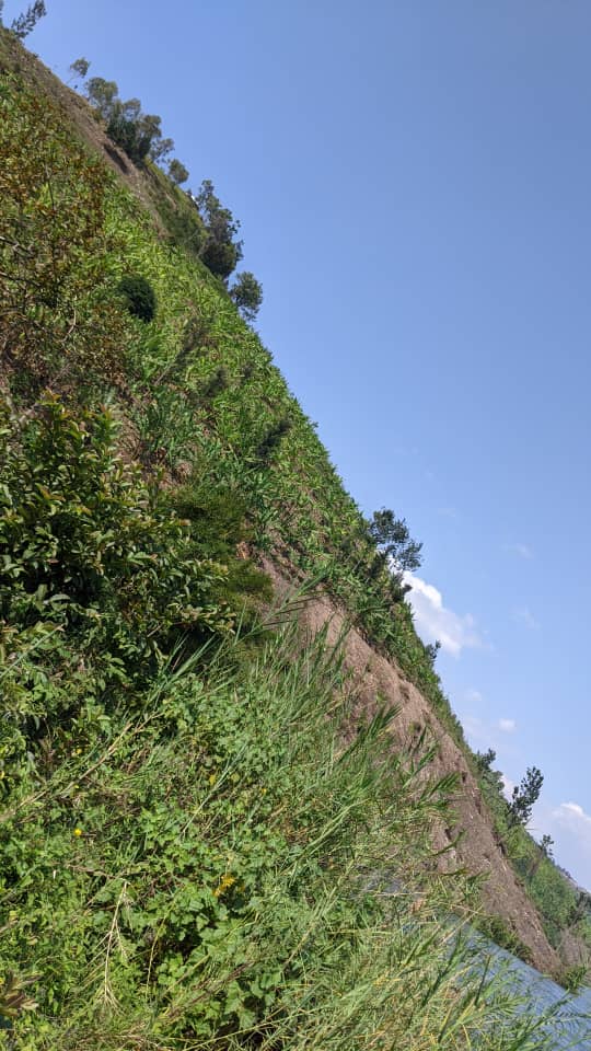 ManishimweThar's tweet photo. Call and WhatsApp
+250788737736
Iyisambu iragurishwa million350 negotiable iherereye Rubengera mu kagari ka mataba ifite ubuso 400000spm ikora kumazi wahubaka guest house hotel nibindi niheza hafite view nziza iyimari ntigucike unafite umukiriya amazane cyangwa ampamagare https://t.co/t6QYZSl1QG