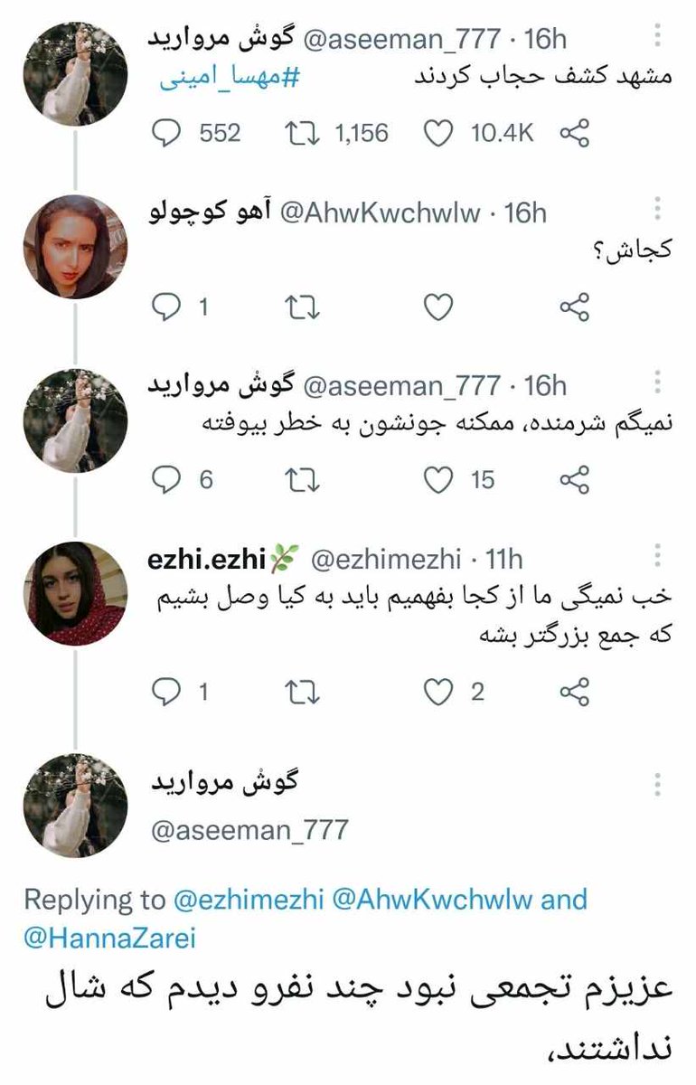 agaye_majd's tweet photo. گوش مروارید یا گوش مخملی!؟ https://t.co/W3Gs06cu4D