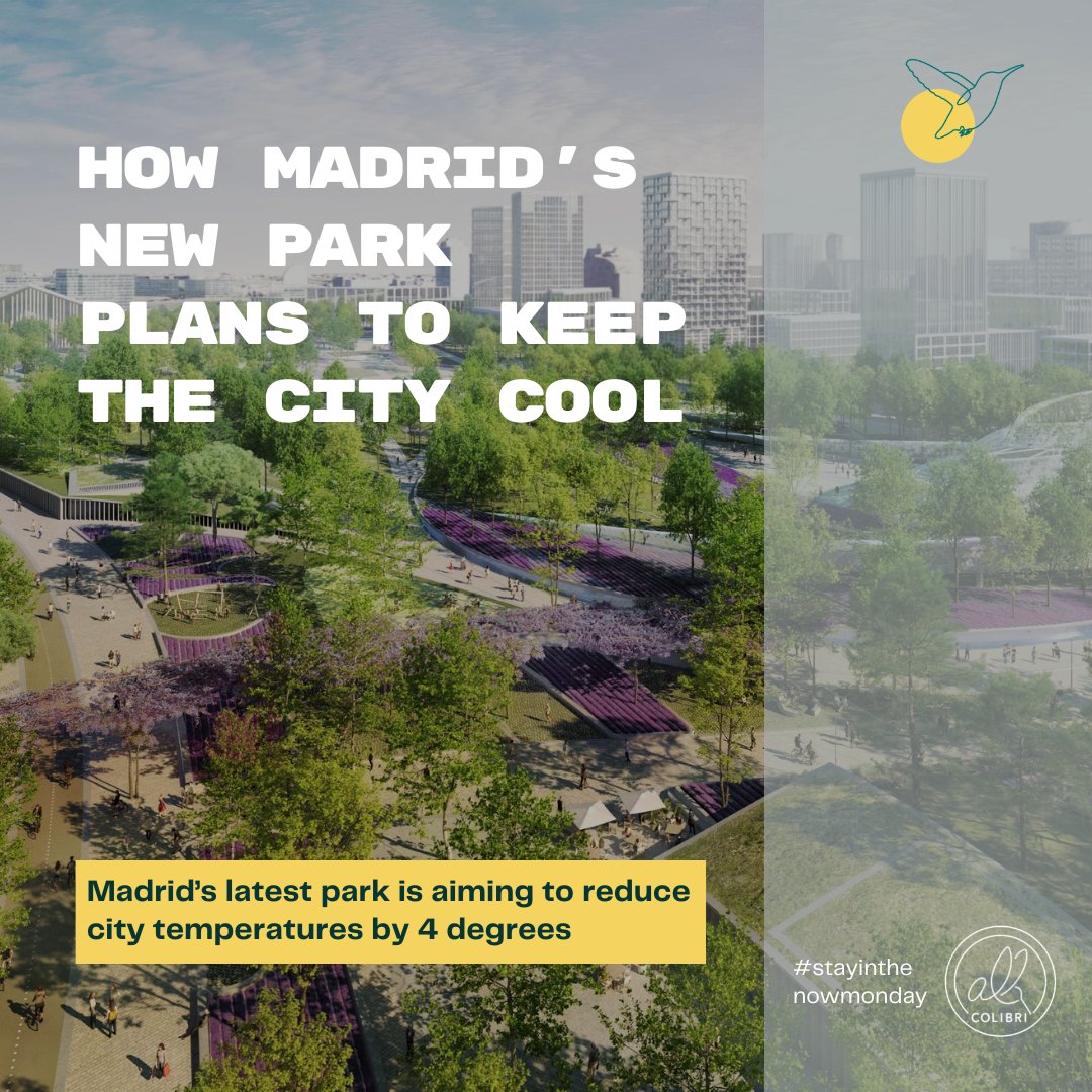 The entire park will be an urban forest that will function as an air conditioning condenser, creating a microclimate that will disperse to the streets next to the park🌇