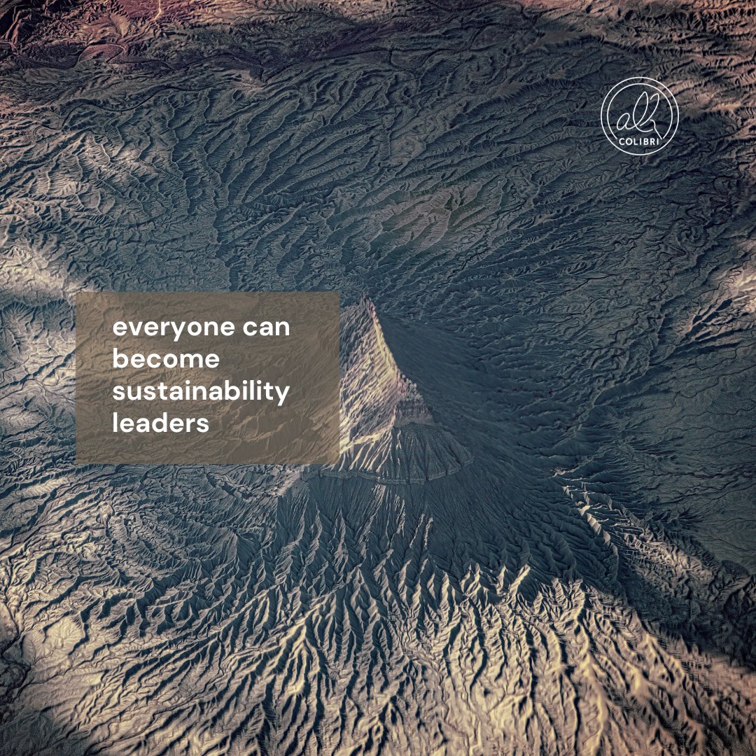 🤝As the world is moving into the direction of change, it is inevitable to see the collective awareness and the need to "fix things" among all of us.
🌱 At allcolibri we decided to help enterprises become socially responsible and have a positive impact on their environment.