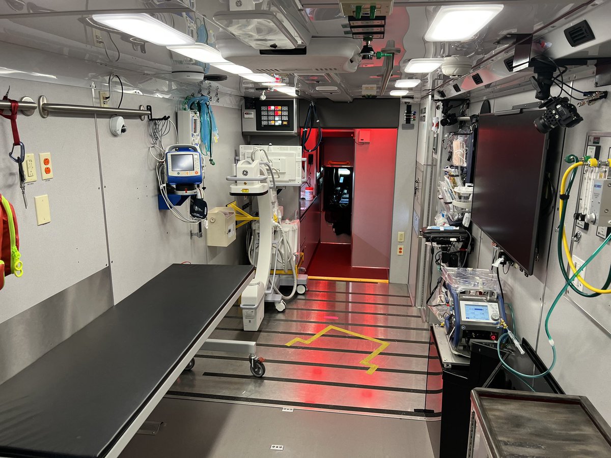 M Velia Antonini tweet media