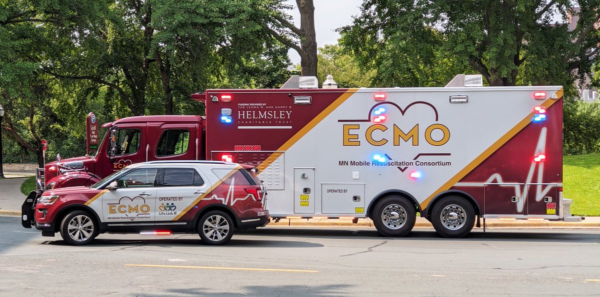 M Velia Antonini tweet media