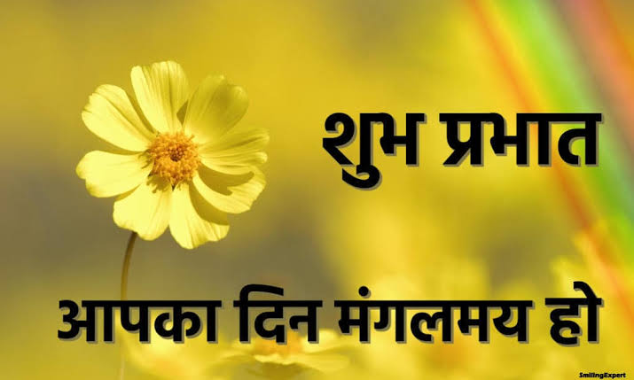 RatibhanPatel5's tweet photo. @Sweety9870 https://t.co/VOTL53RzQd
