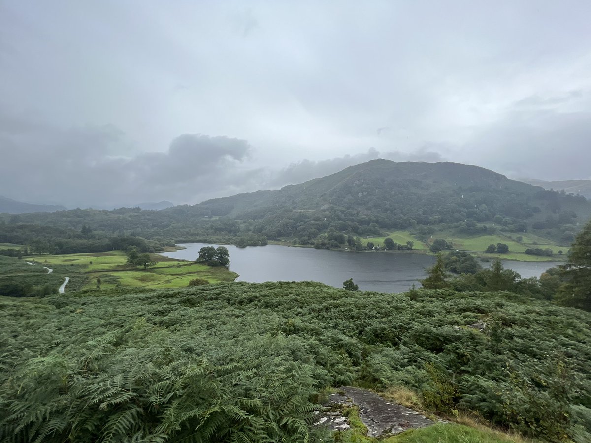 wright_pip's tweet photo. I recently returned from a gorgeously green holiday in the Lake District where we spent all our time exploring and hiking up fells, crags and mountains.🌲⛰️ 

#cumbria #lakedistrict https://t.co/l3dYw5qoVm