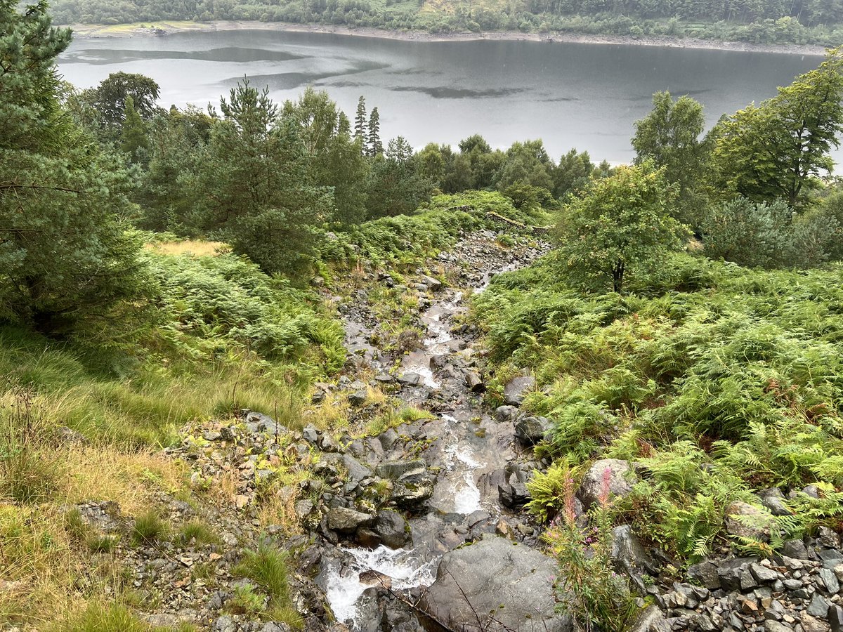 wright_pip's tweet photo. I recently returned from a gorgeously green holiday in the Lake District where we spent all our time exploring and hiking up fells, crags and mountains.🌲⛰️ 

#cumbria #lakedistrict https://t.co/l3dYw5qoVm