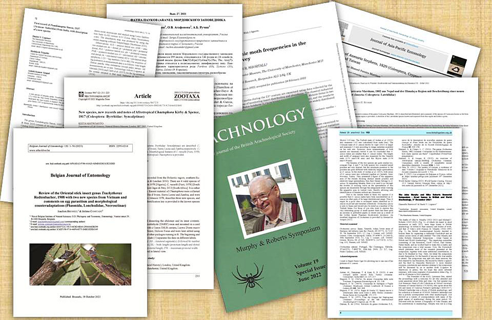 MuseumInsight's tweet image. Supporting conservation programs with historical data 🦋, description of species new to science 🪲🕷️🕷️, account of collections, news from the department, collaboration with researchers and more in the blog:
entomologymanchester.wordpress.com/2022/08/31/pub…
@BritishSpiders @McrMuseum @tanyptera