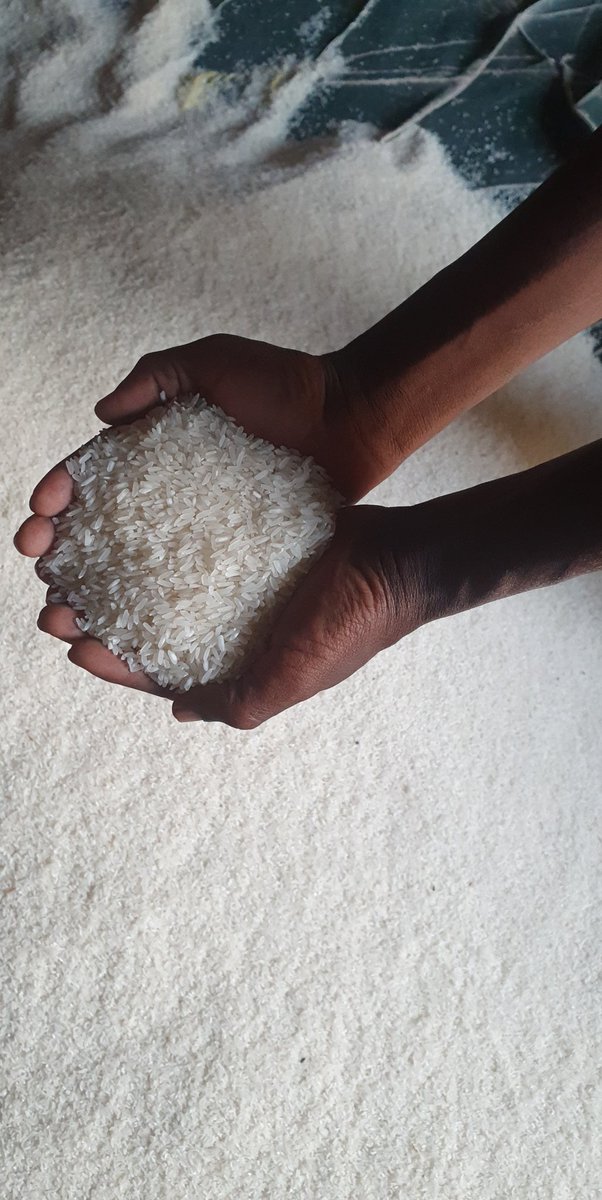 Karibuni niwauzie mchele safi kabisa kutoka shinyanga(isaka,kagongwa,didia)kahama moja iyo unanukia mnooo grade one hutojutia mtamuje sasa..kina baba,kina mama,kina dada kina kaka wai uweke stock ya kutosha nyumbani kabla mambo hajawa mengi
1kg@2500 
Mawasiliano:0759 087 757