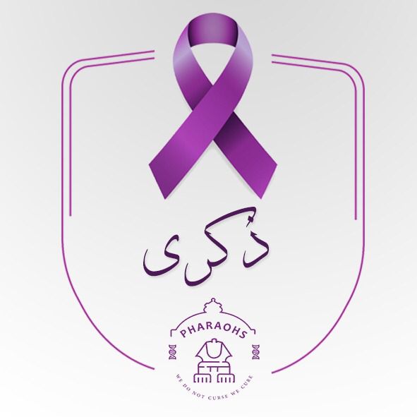 iGEM Pharaohs 🇪🇬 tweet media