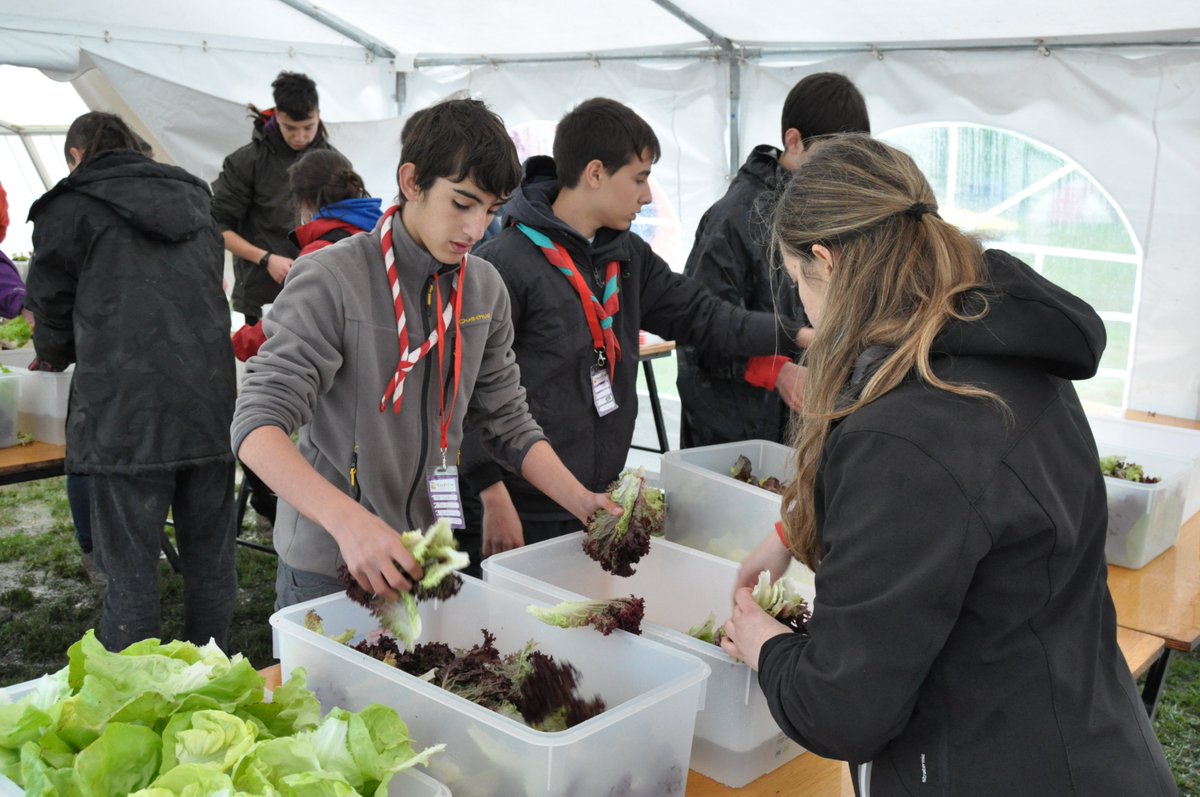 [ CALENDARI 4VENTS 📅 ] Ja heu enviat les vostres fotografies gastronòmiques per al #CalendariEscolta del <a href="/Projecte4vents/">Projecte 4vents</a>? ⚜️🍽 Encara sou a temps!

📢 Fotos en horitzontal i bona resolució 
⏳ Abans del 7 d'octubre 
📩 A fotos@escoltes4vents.org

+ info 👉escoltesiguies.cat/noticia/24727/…