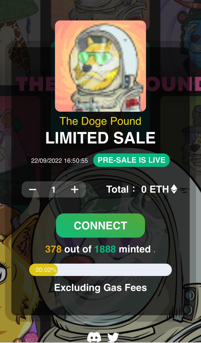 _TheDogPoundNFT's tweet photo. 🚨 Because of the bear market 🚨

🎁 We're giving away 300 WL spots🎁

🚀 WL＝feermint 🚀

📣 Quick Minting  if you are mentioned by us (only 300 NFTs on Twitter members) 📣

🔗https://t.co/DVMbFlGFZR

48h... ⏳

#NFTGiveaway https://t.co/DMpj6Zxc0W