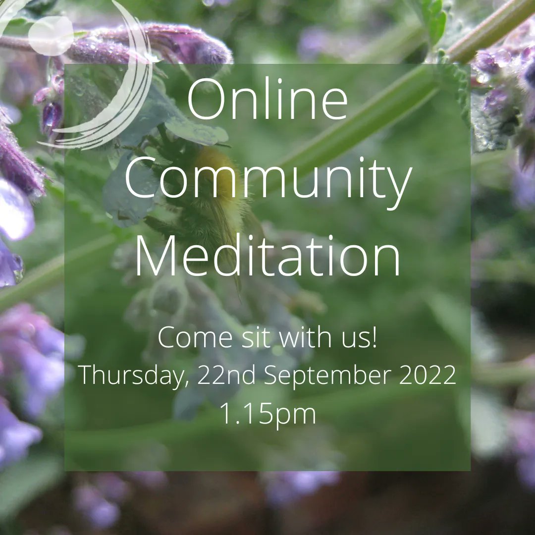 Take a break and join us in community for some lunchtime mindfulness. Our very own Johanne Farrelly will be leading the practice at 1.15pm today.  No experience required. All are welcome!

For details: sanctuary.ie/free-online-me… 
#healing #nature #meditaion #selflove #Spiritual