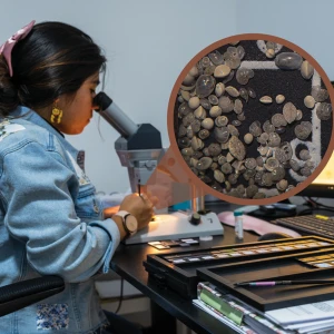 NatRevEarthEnv's tweet photo. Sofía Barragán-Montilla delves into the use of benthic foraminifera to understand the past changes in ocean bottom waters in this #ToolsoftheTrade🌊🔬 

@AlleBlack @marum_de @GeoLatinas
https://t.co/YSeQocfjGS https://t.co/DT1jEFsFx8