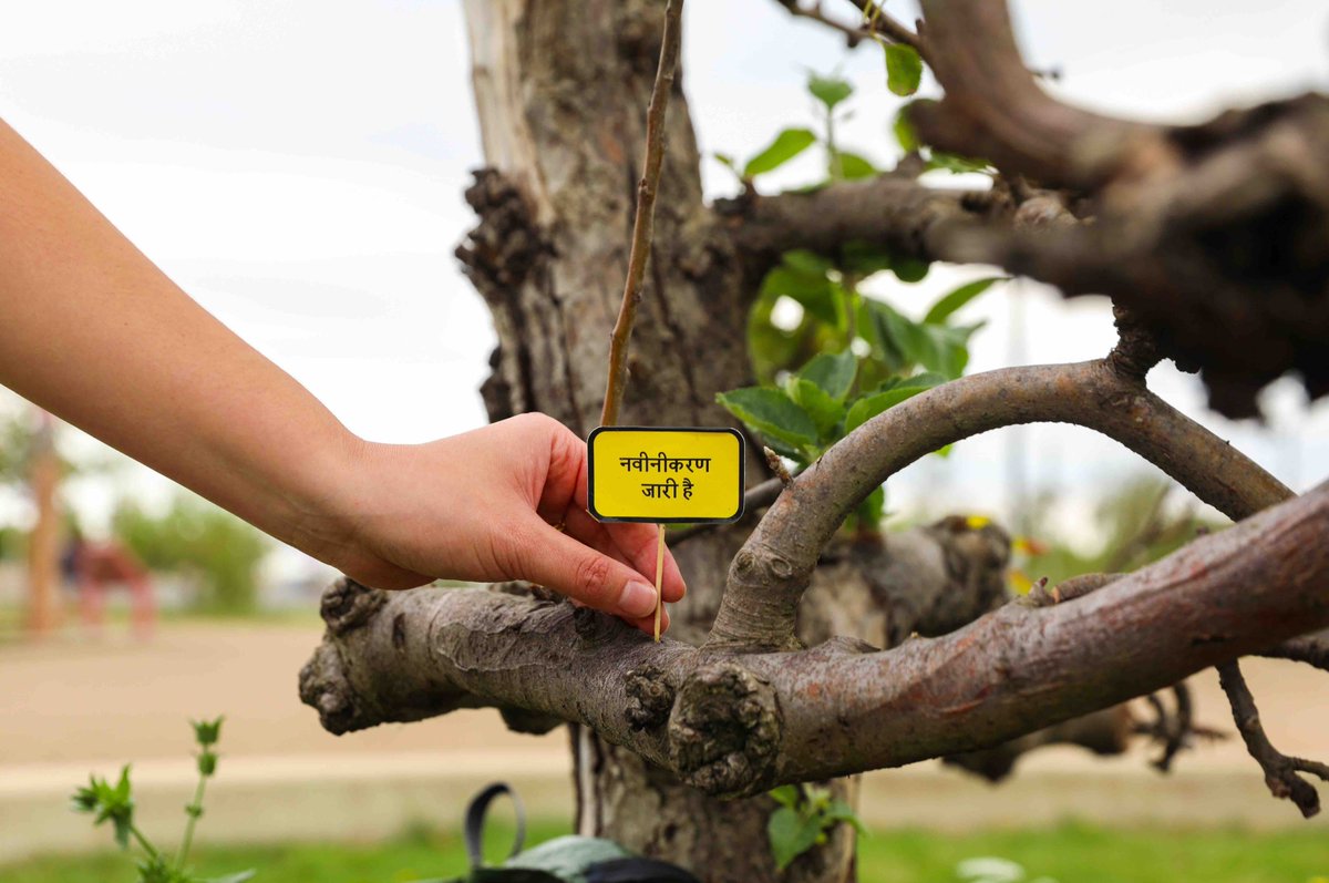 Kirsty Kerr (@kirstyjkerr) on Twitter photo Few more days to catch <a href="/galdemzine/">gal-dem</a>'s exhibition for <a href="/noordinarypark/">Queen Elizabeth Olympic Park</a> - and join in with planting my mini Re-Construction Signs (you can pick one up at <a href="/hackney_bridge/">Hackney Bridge</a>!)🌱🌱🌱
#LifeComingSoon #EastBank <a href="/V_and_A/">V&A</a> Few more days to catch <a href="/galdemzine/">gal-dem</a>'s exhibition for <a href="/noordinarypark/">Queen Elizabeth Olympic Park</a> - and join in with planting my mini Re-Construction Signs (you can pick one up at <a href="/hackney_bridge/">Hackney Bridge</a>!)🌱🌱🌱
#LifeComingSoon #EastBank <a href="/V_and_A/">V&A</a>