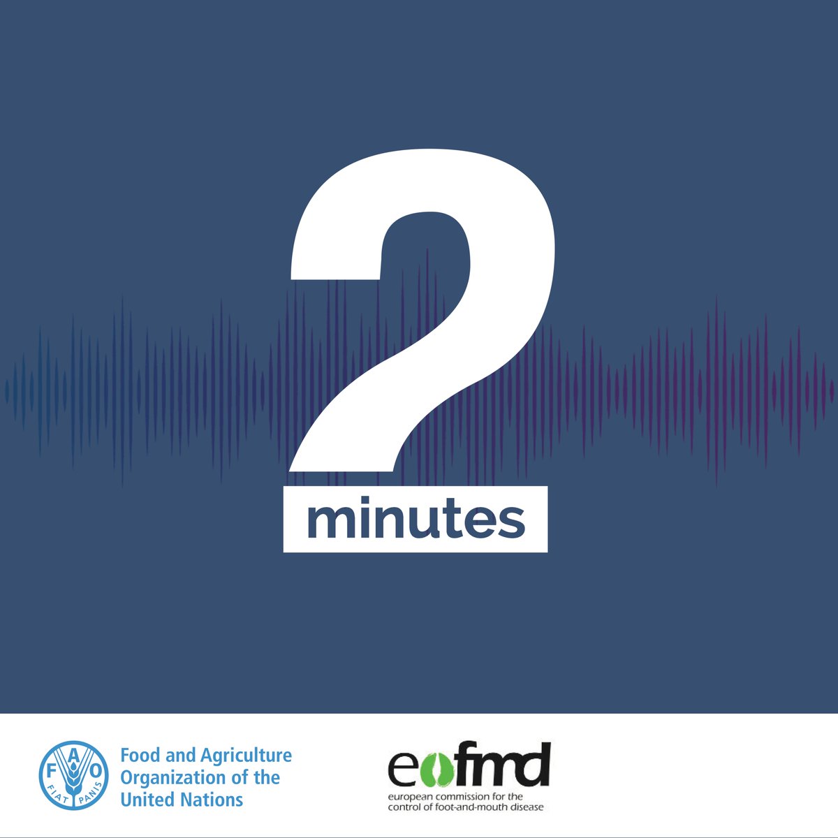 Eufmd's tweet photo. 🎧New 2 minutes podcast with Tsviatko Alexandrov, Pillar I Manager.
The Pillar I organizes activities &amp; events to improve the Member Nations' preparedness for #FMD crisis management.
➡️ https://t.co/lxw7QGe6ZF
How relevant is emergency preparedness when dealing with an outbreak? https://t.co/i8AtaiSmGJ