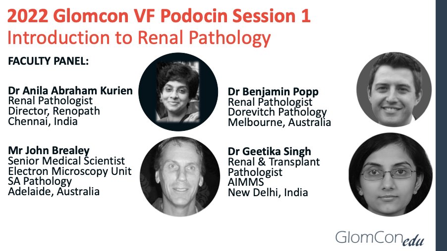 nephrologista's tweet photo. 2022 @GlomCon fellowship begins! In Asia Pacific, 85 Podocin fellows from 12 countries are laying nephropathology foundation skills with dynamic faculty panel @AnilaKurien @DrGeetikaSingh1 @JohnBrealey. 'I feel like I'm going on a tour inside the kidney!' - @GlomCon fellow https://t.co/lkqa0Of3vM