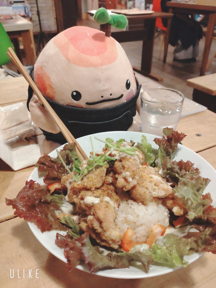 nuitouhoku's tweet photo. ケイジャンチキン丼おいしそうだねー
#マチノコ　#CafeBOX　#山形なう　#ぬい撮り https://t.co/Hf8BBX6IKC