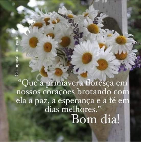 Suely Couto (@suelycouto) on Twitter photo 