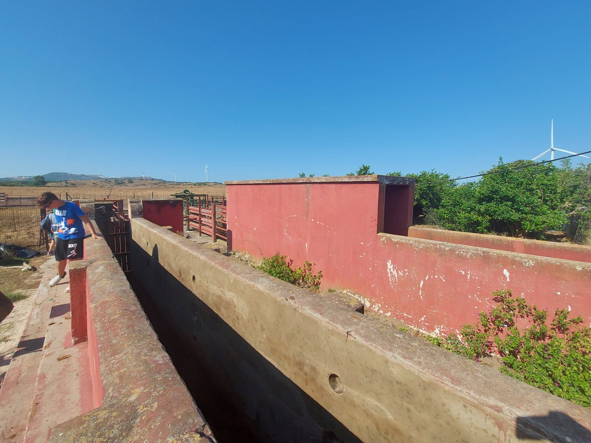 Agnese Balzani tweet media